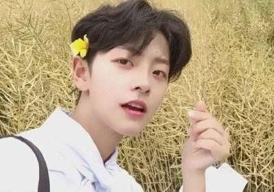 没谈过恋爱的网红男,一位未涉足情场的网红男生的心路历程