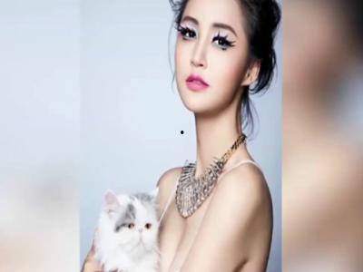 所以明星名字,明星名字背后的故事与魅力