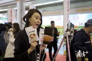 网红直播推荐公园小姐,网红直播带你领略公园小姐的独特魅力