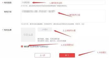 头条赚钱要个人认证吗,揭秘个人认证在赚钱过程中的重要性