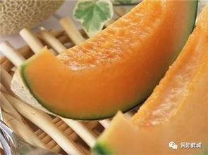 玲珑瓜哈密瓜怎么吃,玲珑瓜与哈密瓜的多样食法探索
