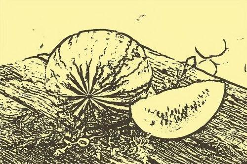 讨瓜吃民间故事,讨瓜吃民间故事的温馨演绎