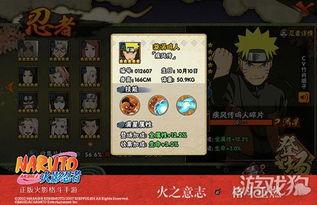 最新忍者全部技能爆料