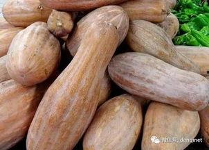 老方瓜可以吃吗,揭秘其食用价值与食用方法
