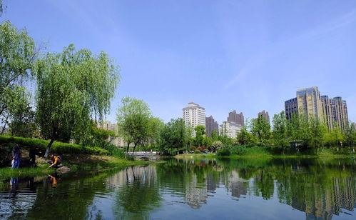 长沙的网红公园叫什么,探寻城市绿洲的时尚秘境