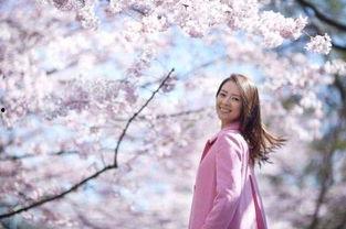 樱花明星,绽放东方的璀璨光芒