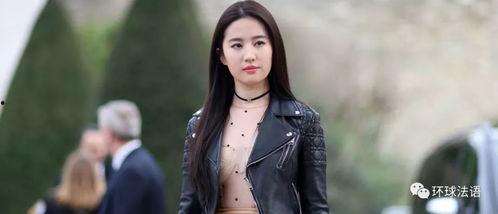 china明星porm,荣耀与争议的跨界之旅