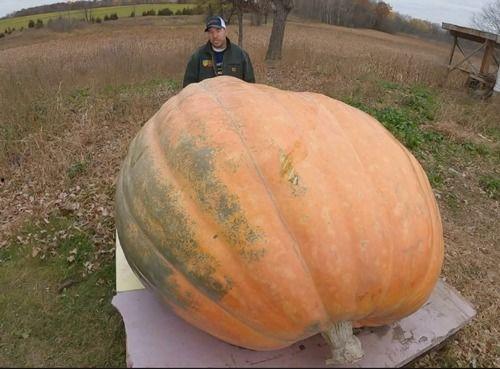 连续吃瓜要吐了,揭秘娱乐圈背后的真相与内幕