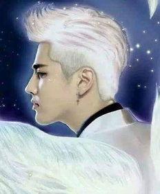 十二星座专属温柔明星,星光下的温柔守护者