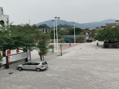 金坛有哪些网红打卡地点,探寻这座城市的魅力角落