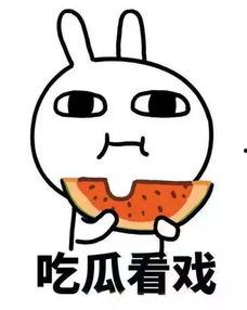 吃醋跟吃瓜,揭秘网络时代的情感纠葛与娱乐八卦