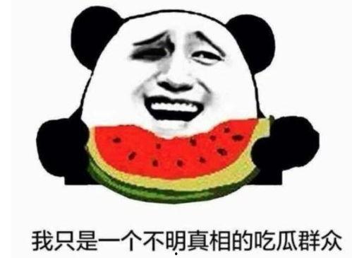 吃瓜的卧底,揭秘娱乐圈背后的真相