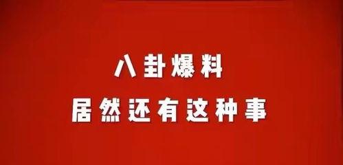 荆门八卦娱乐爆料案件
