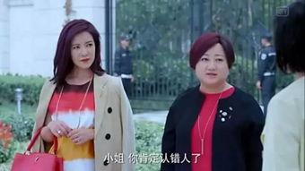 娱乐圈吃瓜小花小说