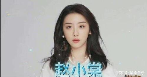 吃瓜娱乐赵小,吃瓜娱乐界的风云人物